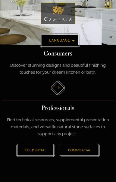 Cambria's multiple audience website design