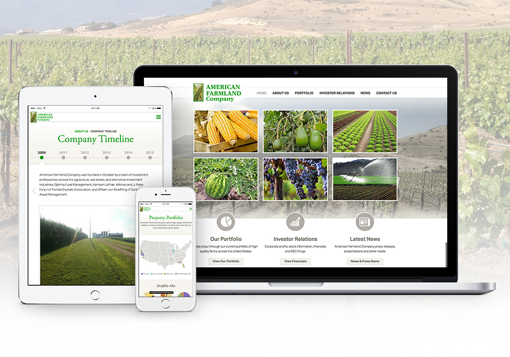 Minnesota American Marketing Association's new website
